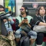 Falco subte