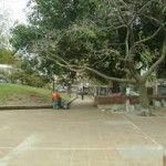 descarga (19)