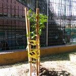 IMG_20171201_110556